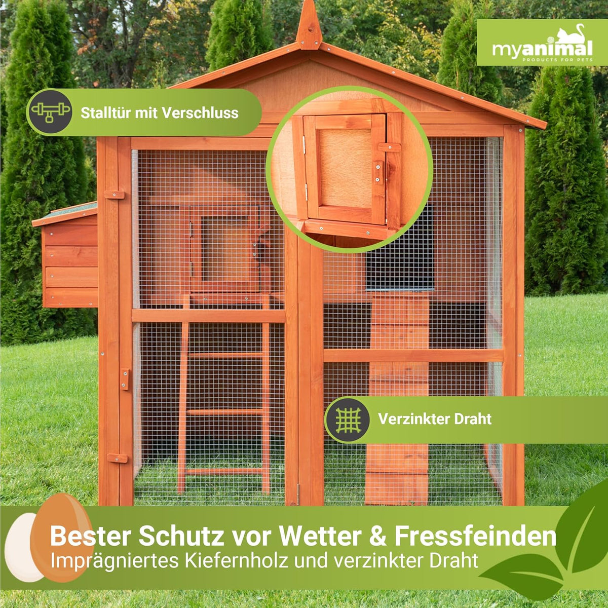 Miweba MyAnimal Hühnerstall MH-15 XXL | 186x146x147 cm - Für 7 Hühner - Nistkasten mit Freilaufgehege - Sitzstange - Winterfest - 2 Ebenen - Hühnerhaus mit Eiablage - Kiefernholz - Voliere (Braun)